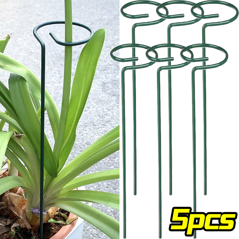 Florist Supply Bulk - 1/10pcs Garden สนับสนุน Stake แหวนโลหะ SINGLE