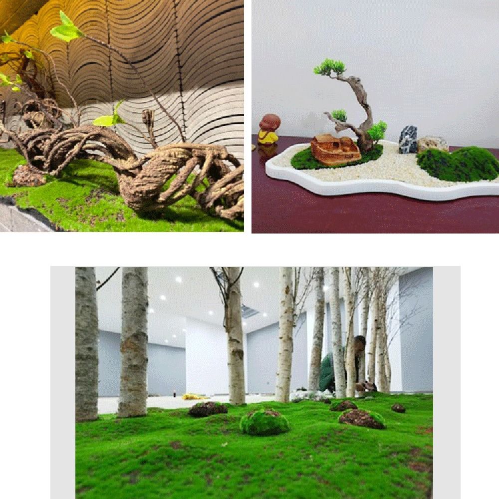 หญ้ามอสเทียม DIY ทนทาน ใช้งานไ - Preserved Moss Sheet บทวิจารณ์และราคา
