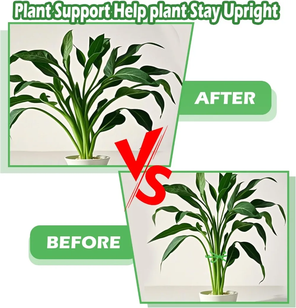 ดอกไม้StemสนับสนุนStakesปีนเขา - Florist Supply Bulk บทวิจารณ์และราคา