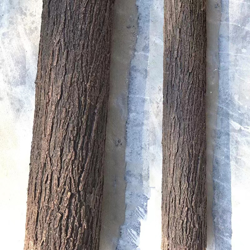 เปลือกยางเทียมแบบนิ่มม้วนท่อน้ - Preserved Moss Sheet บทวิจารณ์และราคา