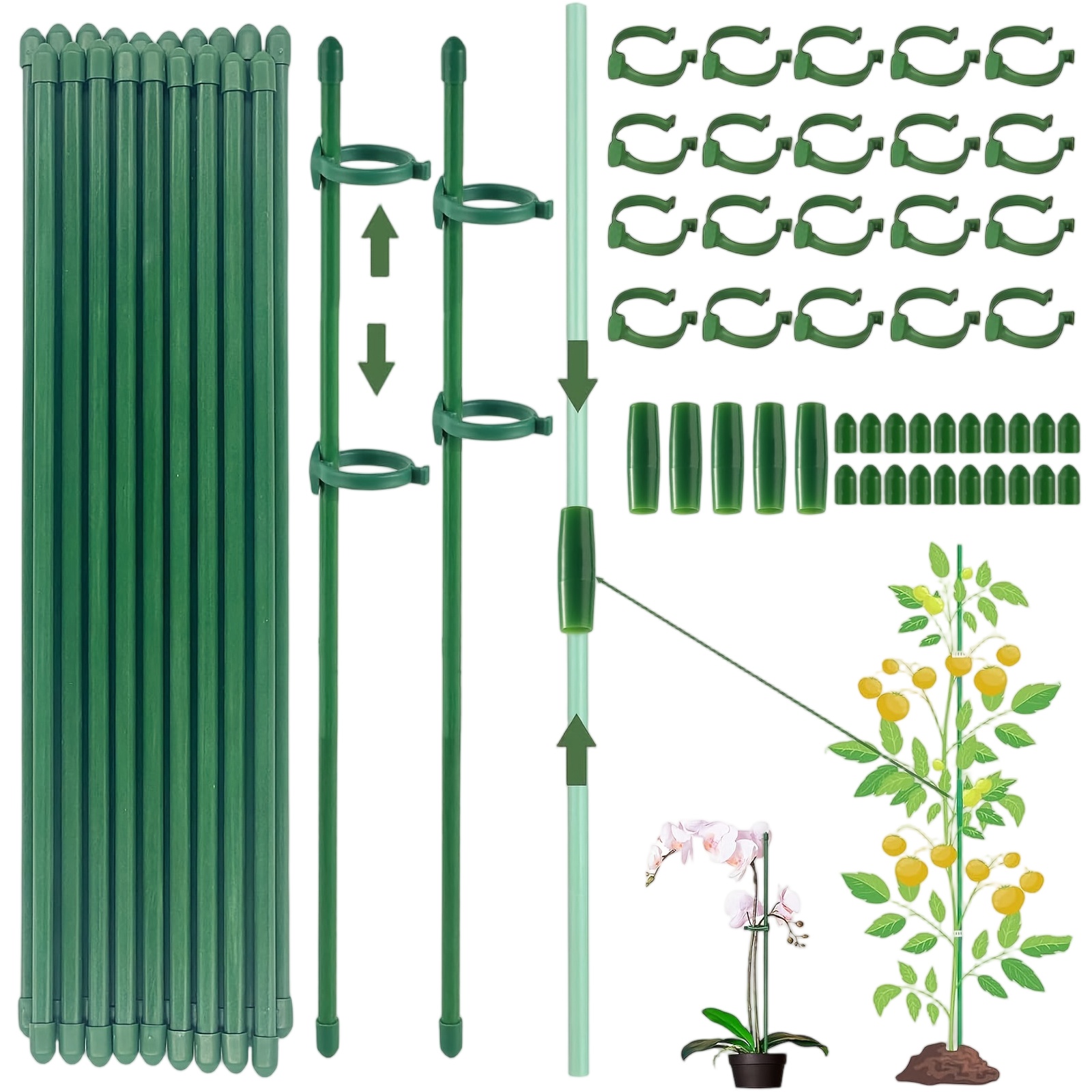 เสาค้ำต้นไม้แบบเดี่ยว สำหรับพุ - Florist Supply Bulk บทวิจารณ์และราคา